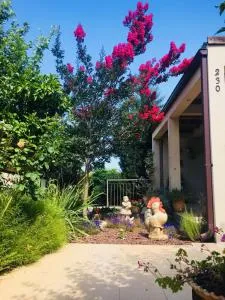 Art Apartments - ‘Eyn-‘Ibrahim