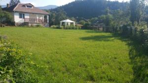 Smart and Cozy Nature House