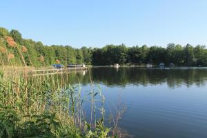 Ferienappartement am See II im Biospharenreservat Schorfheide