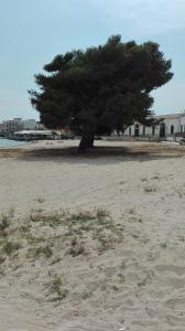 Casa vacanze Santa Lucia