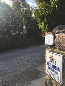 Artemisia Sardegna img34