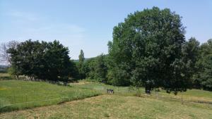 Maisons de vacances Gite complex near Mirepoix in the Pyrenees : photos des chambres