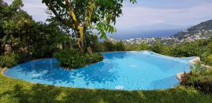 Talu Il piccolo zaffiro verde-blu Ischia Itaalia
