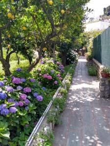 Depandance Casa Paolina