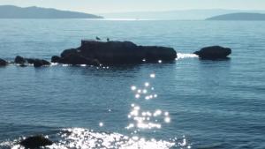 Apartment LaLa With Balcony