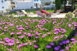 SEA-esta Beach Studios Lasithi Greece