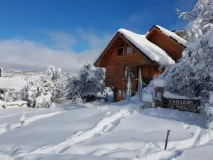 Cabañas & Lofts Las Terrazas - 佩休尼亚镇