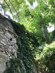 T2 intra muros clim et cour ombragée