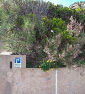 Residenze Paradiso img35