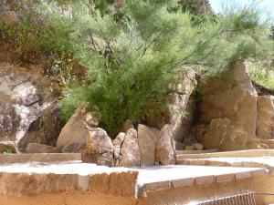 Residenze Paradiso img31