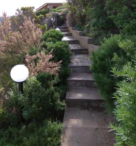 Residenze Paradiso img33