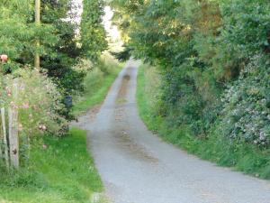 Le Domaine photo 21
