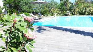 Maisons de vacances Domaine Sesquier Mas d'exception Acacia : photos des chambres