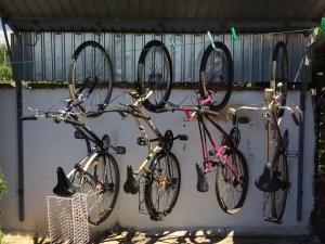 Guest House Dunavski Raj