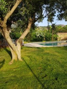 Borgo degli Ulivi Depandance