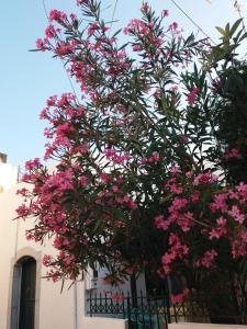 SEA-esta Beach Studios Lasithi Greece