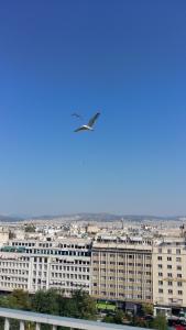 Athens Center Panoramic Flats