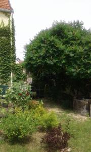 B&B / Chambres d'hotes Au Bonheur De Ce Monde : photos des chambres