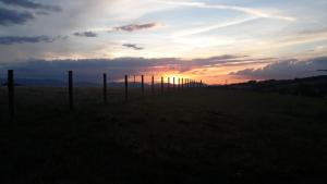 Maisons de vacances Une pause sur la colline : photos des chambres