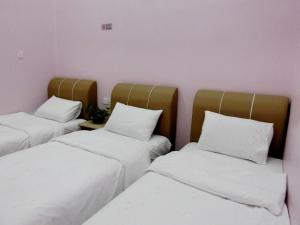 Taiping Cozy Homestay II