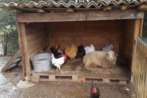 Maisons d'hotes Les anes de petit jean : photos des chambres