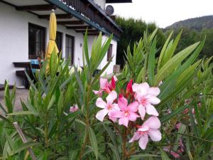 Garten Apartment Diwoky