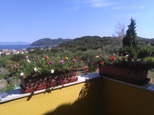 Martha's Villa Kavala Greece