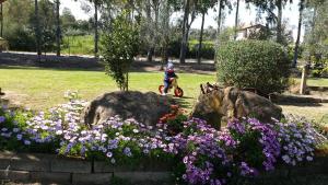 Agriturismo Monte Majore img9