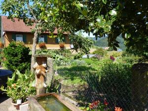 Ferienhaus Ferienhaus Eck Unterharmersbach Deutschland