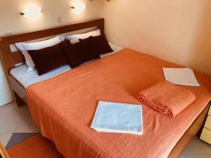 One-Bedroom Apartment with Balcony and Sea View room in Apartments by the sea Cove Prapratna - Prapatna (Hvar) - 15804