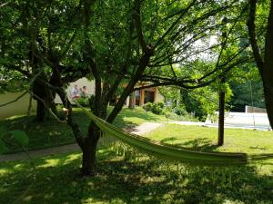 B&B / Chambres d'hotes B&B chez Frederique et Norbert : photos des chambres