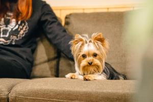 Miro Sanjo Saiin Tei