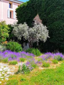 Hotels Hotel La Bastide des Monges : photos des chambres