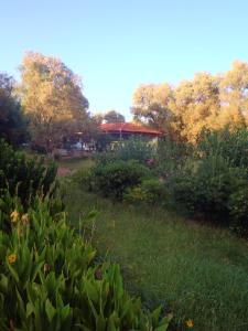 Rooms Leonidas Chania Greece