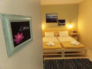 Leia Guest House Syros Greece