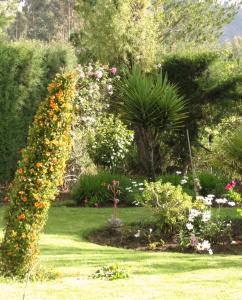 Los Jardines de Teresa