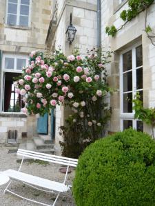 Maisons d'hotes Chateau de Juvigny : photos des chambres