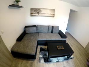 The Jungle Apartments and Rooms (Vila Džungla)