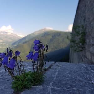 Hotels Hotel-Chalet les Melezes : photos des chambres