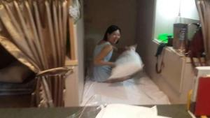 集集藝術家背包客之家Jiji Art Backpackers Hostel