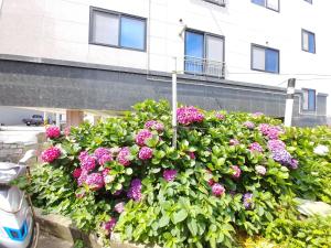 Seongsan Star Pension