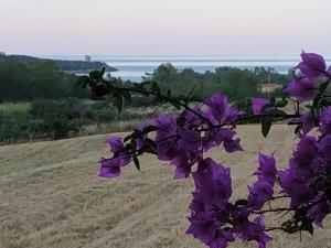 Vacanza in Ogliastra img23