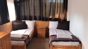 Penthouse Apartment room in Aurora Guest House