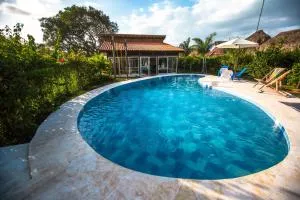 Indigo Palomino - Palomino