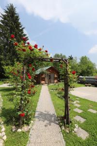 Adventure Cottage with pool and big garden