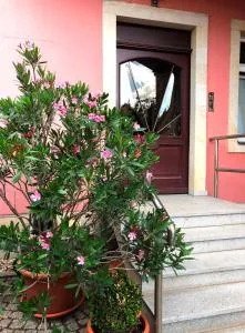 Ferienwohnung an der Elbfähre - Dresden