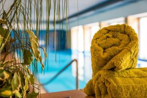 MOOKI Mountain & Pool Gerlitzen Apartment