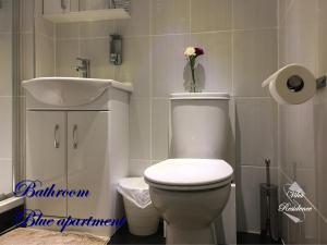 Vika Residence Deluxe Apartments Wednesbury Holiday Resort