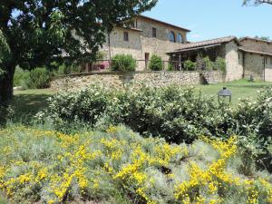 Ferienhaus Castellare Chiusdino Italien