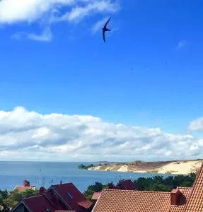 Neringa - Lazovskoye